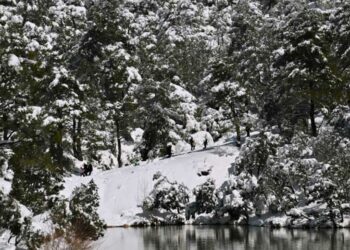 «Βόμβα» Λέκκα για το πολικό ψύχος στις ΗΠΑ, πιθανό το φαινόμενο αυτό να έρθει και στην Ελλάδα