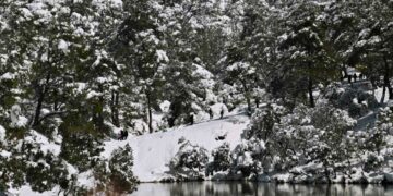 «Βόμβα» Λέκκα για το πολικό ψύχος στις ΗΠΑ, πιθανό το φαινόμενο αυτό να έρθει και στην Ελλάδα