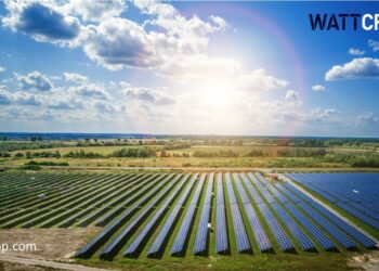 Επίγεια φωτοβολταϊκά σε συνδυασμό με καλλιέργειες  αυξάνουν την οικονομική  απόδοση της  γης