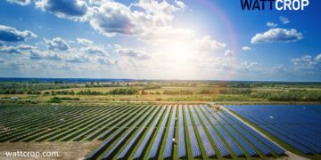 Επίγεια φωτοβολταϊκά σε συνδυασμό με καλλιέργειες  αυξάνουν την οικονομική  απόδοση της  γης
