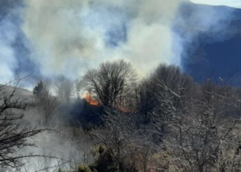 Πυρκαγιά πάνω από το καταφύγιο του ορειβατικού στη Βλάστη – Η Πυροσβεστική επιχειρεί σε 3 μέτωπα (βίντεο & φωτογραφίες)