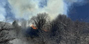 Πυρκαγιά πάνω από το καταφύγιο του ορειβατικού στη Βλάστη – Η Πυροσβεστική επιχειρεί σε 3 μέτωπα (βίντεο & φωτογραφίες)