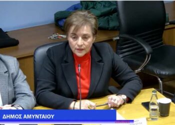 Αμύνταιο: Στο …περίμενε για πληρωμές οι αγρότες –	Δ. Κρητικού: Σε τι φάση βρίσκονται οι αποζημιώσεις για χαλάζια, προανθικό και άλλες πληρωμές