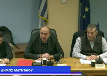 Αμύνταιο: Στα σκαριά αξιοποίηση της καύσης καλαμιών για την αξιοποίηση βιομάζας