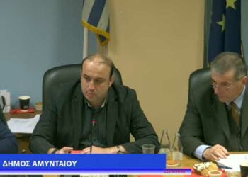 Κατά της χωροθέτησης ανεμογεννητριών στο Λέχοβο τάχθηκε το Δ.Σ. Αμυνταίου