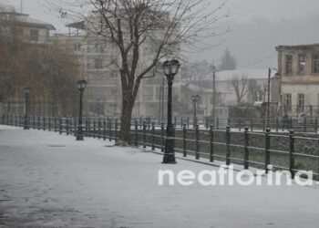 Φλώρινα: Χιονόπτωση από το πρωί χωρίς προβλήματα μέχρι αυτή την ώρα (βίντεο – φωτογραφίες)