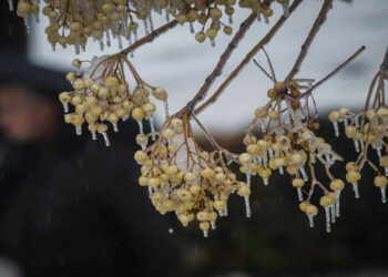 "Τσουχτερό κρύο": Άγγιξε τους -6 στα Γρεβενά - Σταθερά στην δεκάδα των πιο κρύων περιοχών η Δυτική Μακεδονία