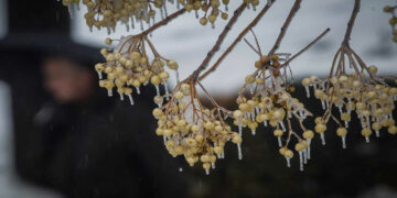 "Τσουχτερό κρύο": Άγγιξε τους -6 στα Γρεβενά - Σταθερά στην δεκάδα των πιο κρύων περιοχών η Δυτική Μακεδονία