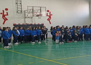 Βόλεϊ : Την πίτα τους για τη νέα χρονιά έκοψαν οι Λεόντες