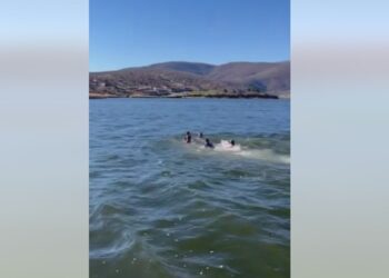 Αμύνταιο: Βούτηξαν για τον σταυρό στο Λιμνοχώρι-VIDEO