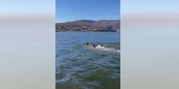 Αμύνταιο: Βούτηξαν για τον σταυρό στο Λιμνοχώρι-VIDEO