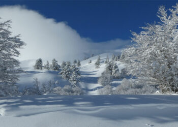Μαγικές κατάλευκες εικόνες από τη Βασιλίτσα