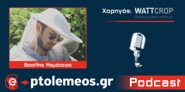 Βασίλης Μαμάτσιος: Η επανάσταση της μελισσοκομίας και οι «χρυσές» προοπτικές