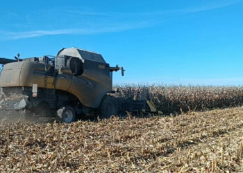 Ο καλός καιρός “έβγαλε” τα γεωργικά μηχανήματα στον κάμπο της Εορδαίας, για τα αθέριστα καλαμπόκια