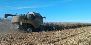 Ο καλός καιρός “έβγαλε” τα γεωργικά μηχανήματα στον κάμπο της Εορδαίας, για τα αθέριστα καλαμπόκια