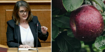 Βολές της Ολ. Τελιγιοριδου για την Ενίσχυση Μηλοπαραγωγών: Συνεχίζεται η πολιτική της κοροϊδίας”