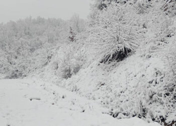 Όμορφες εικόνες από την χιονισμένη Αναρράχη Εορδαίας