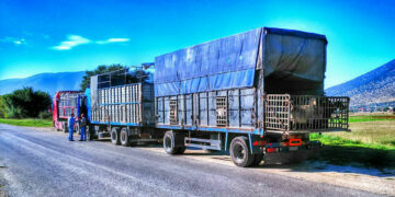 Ενημέρωση για απόκτηση Βεβαίωσης Επαγγελματικής Κατάρτισης Οδηγών – ΠΕΙ Μεταφοράς Ζώντων Ζώων από την Π. Ε. Κοζάνης