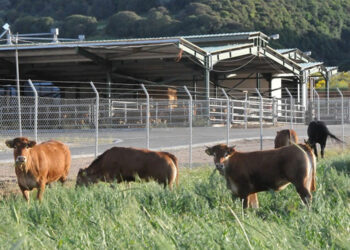 Περιφέρεια Δυτικής Μακεδονίας: Παρατείνεται η προθεσμίας δήλωσης των κτηνοτροφικών εγκαταστάσεων