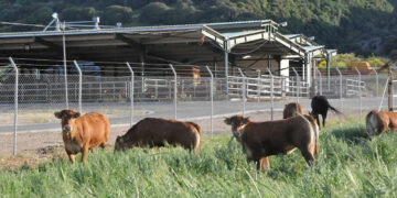 Περιφέρεια Δυτικής Μακεδονίας: Παρατείνεται η προθεσμίας δήλωσης των κτηνοτροφικών εγκαταστάσεων