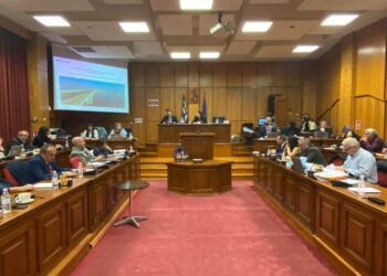 Σε «Θωμάς Γάκης» θα ονομαστεί το πρόγραμμα τοποθέτησης απινιδωτών στη Δ. Μακεδονία – Στη μνήμη του 6χρονου παιδιού από τα Γρεβενά