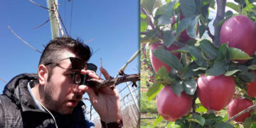 Στράτος Τσακίρης (Γεωπόνος): Προβλήματα δημιουργούν οι καλές καιρικές συνθήκες κυρίως σε δενδροκαλλιέργειες