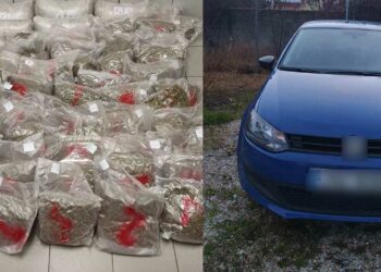 Φλώρινα: Επιτυχία της Αστυνομίας – “Μπλόκο” σε διακίνηση 64 κιλών ακατέργαστης κάνναβης – Δύο συλλήψεις