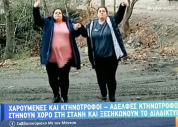 Οι αδερφές -κτηνοτρόφοι από τον Τετράλοφο Κοζάνης που έγιναν viral στο ΤΙΚ ΤΟΚ με τον χορό που στήνουν στη στάνη! VIDEO