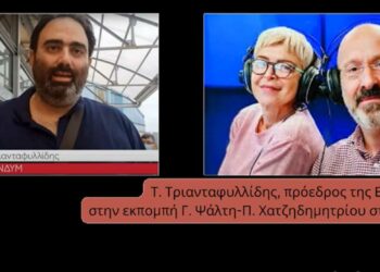 Τ. Τριανταφυλλίδης (πρόεδρος ΕΙΝΔΥΜ): «Αβοήθητα τα παιδιά στη Β. Ελλάδα- Απουσία παιδιατρικών κλινών ΜΕΘ»