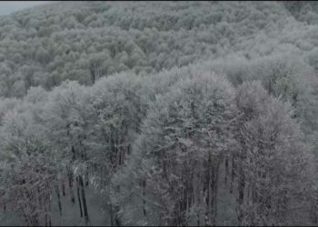 Εξόρμηση του ΣΕΟ Κοζάνης στο Βίτσι Καστοριάς την Κυριακή 5-2-2023
