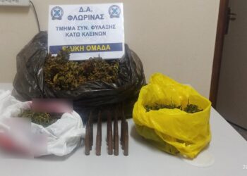 Συνελήφθη 52χρονος σε περιοχή της Φλώρινας για κατοχή 600 γρ. περίπου ακατέργαστης κάνναβης και φυσιγγίων