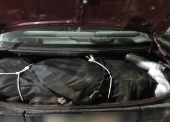 Φλώρινα: Συνελήφθησαν δύο άτομα για διακίνηση μεγάλης ποσότητας ακατέργαστης κάνναβης, βάρους -55- κιλών και -649- γραμμαρίων