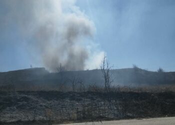 Μικρής έκτασης φωτιά στον δρόμο από Πέρδικκα προς Πεντάβρυσο (φωτό-βίντεο)