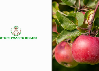 Αυτό είναι το ψήφισμα που κατέθεσε ο Αγροτικός Σύλλογος Βερμίου προς ψήφιση στη σημερινή συνεδρίαση του Δ.Σ. Εορδαίας