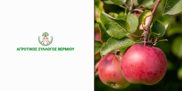 Αυτό είναι το ψήφισμα που κατέθεσε ο Αγροτικός Σύλλογος Βερμίου προς ψήφιση στη σημερινή συνεδρίαση του Δ.Σ. Εορδαίας