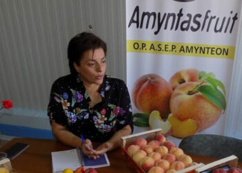 Νέος Συνεταιρισμός Μεταποίησης Οπωροκηπευτικών στο Αμύνταιο – Δημιουργεί προοπτικές ανάπτυξης στον πρωτογενή τομέα