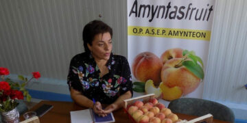 Νέος Συνεταιρισμός Μεταποίησης Οπωροκηπευτικών στο Αμύνταιο – Δημιουργεί προοπτικές ανάπτυξης στον πρωτογενή τομέα