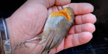 Νίκος Παναγιωτόπουλος(ΟΑΕ): Ο χειμώνας είναι δύσκολος για όλους μας…