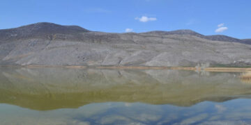 Ο Δήμαρχος Αμυνταίου καταδικάζει την παράνομη καύση καλαμιώνων στη Λίμνη Πετρών