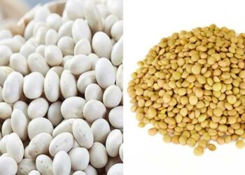 Η “Πρέσπα TOP” δώρισε 400 κιλά όσπρια στο Γηροκομείο Φλώρινας – Συγχαρητήριο μήνυμα του Επιμελητηρίου Φλώρινας