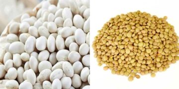 Η “Πρέσπα TOP” δώρισε 400 κιλά όσπρια στο Γηροκομείο Φλώρινας – Συγχαρητήριο μήνυμα του Επιμελητηρίου Φλώρινας