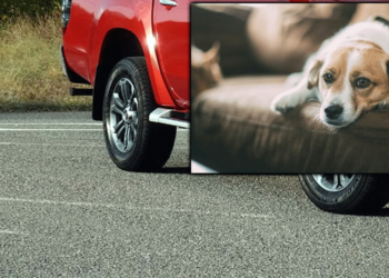 Πτολεμαΐδα: Ασυνείδητος οδηγός με αγροτικό όχημα παρέσυρε και σκότωσε δεσποζόμενο κατοικίδιο και εξαφανίστηκε