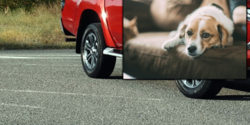 Πτολεμαΐδα: Ασυνείδητος οδηγός με αγροτικό όχημα παρέσυρε και σκότωσε δεσποζόμενο κατοικίδιο και εξαφανίστηκε