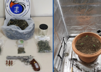 Πτολεμαΐδα: Πιάστηκε με περίστροφο και δενδρύλλια κάνναβης στην κατοχή του - Στην «φάκα» της αστυνομίας 49χρονος