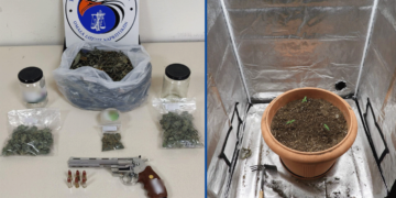 Πτολεμαΐδα: Πιάστηκε με περίστροφο και δενδρύλλια κάνναβης στην κατοχή του - Στην «φάκα» της αστυνομίας 49χρονος