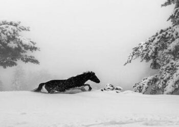 Πανέμορφη φωτογραφία από την χιονισμένη Σαμαρίνα Γρεβενών