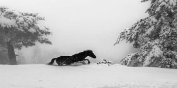 Πανέμορφη φωτογραφία από την χιονισμένη Σαμαρίνα Γρεβενών