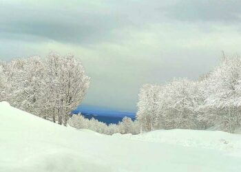 Μαγικό κατάλευκο τοπίο στο χιονοδρομικό κέντρο Βασιλίτσας