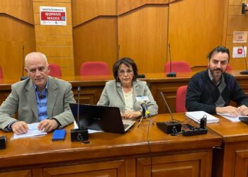 Υποψήφια Περιφερειάρχης η Γεωργία Ζεμπιλιάδου- Κάλεσμα στις προοδευτικές δυνάμεις της Δυτικής Μακεδονίας