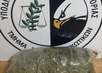 Συνελήφθη σε δασική περιοχή της Καστοριάς, αλλοδαπός, ο οποίος μετέφερε πεζός, 5 κιλά και 620 γρ. ακατέργαστης κάνναβης